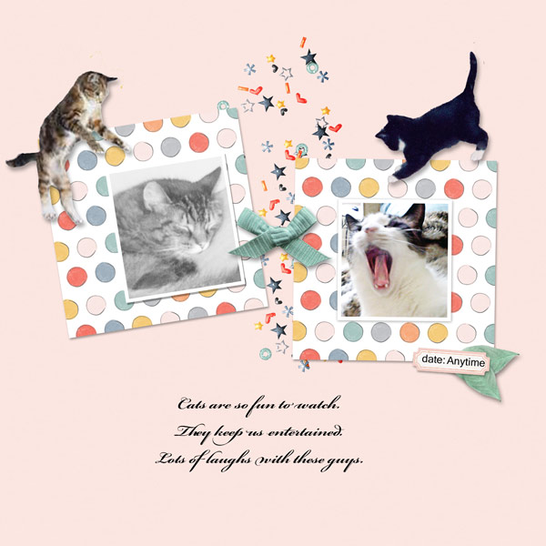 Cat Laughs