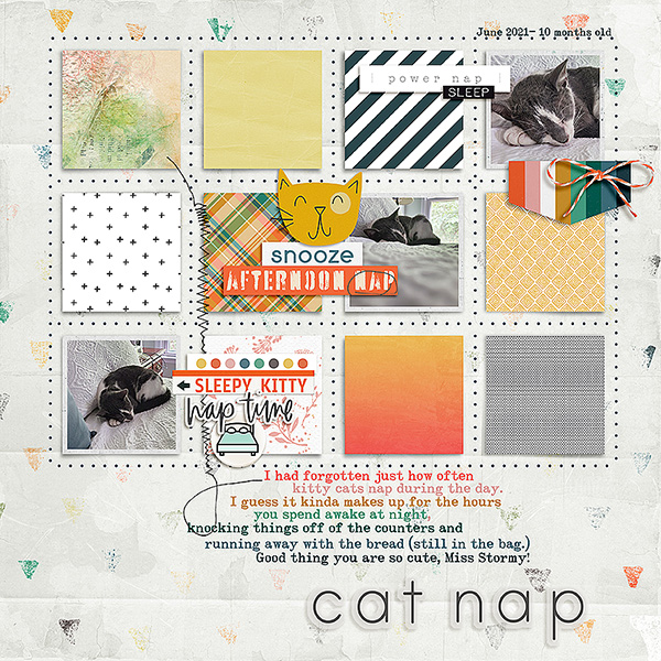 cat nap