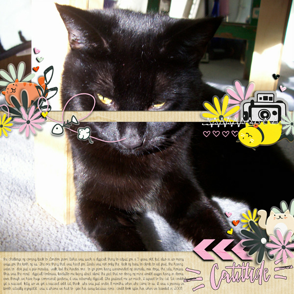 Catitude_