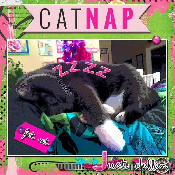 Catnap