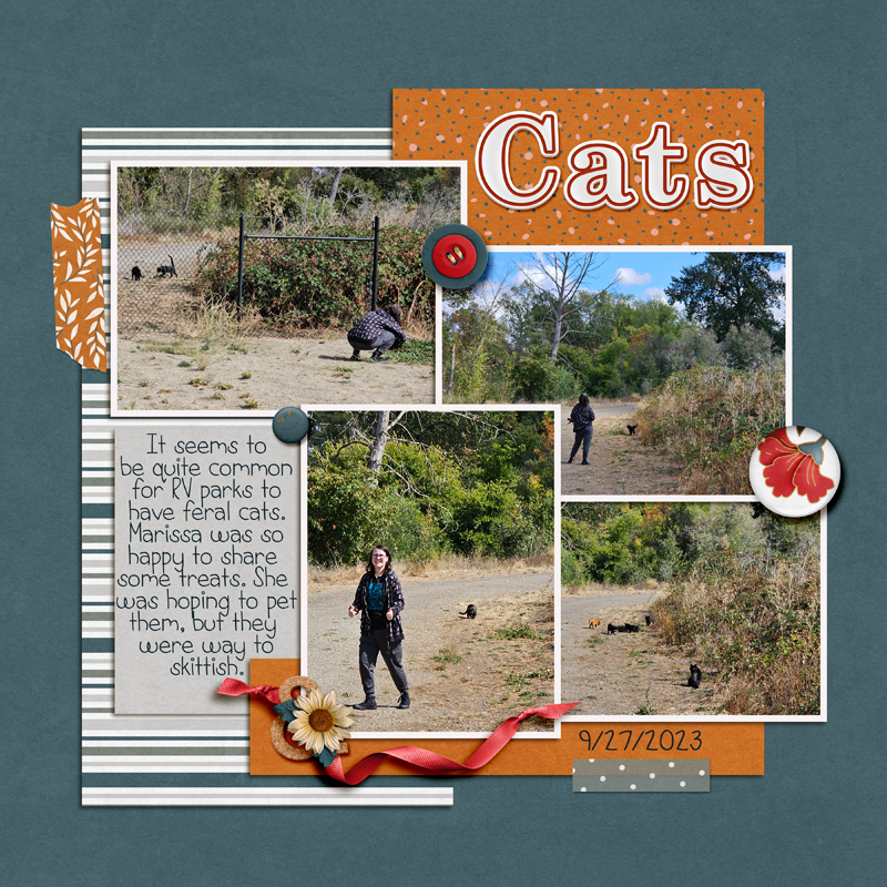 Cats