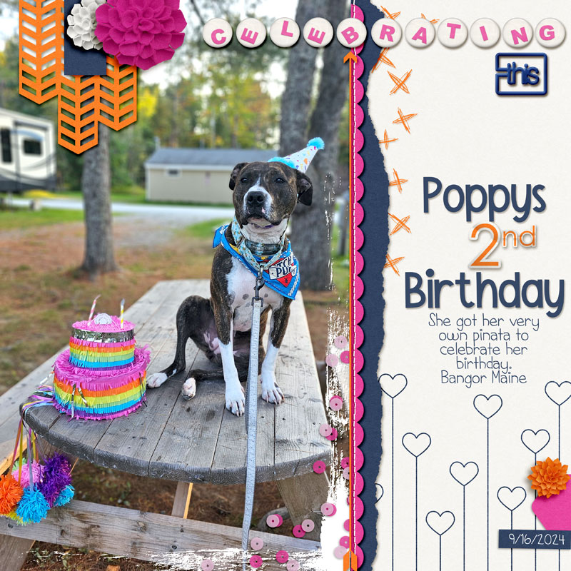 Celebrating Poppy