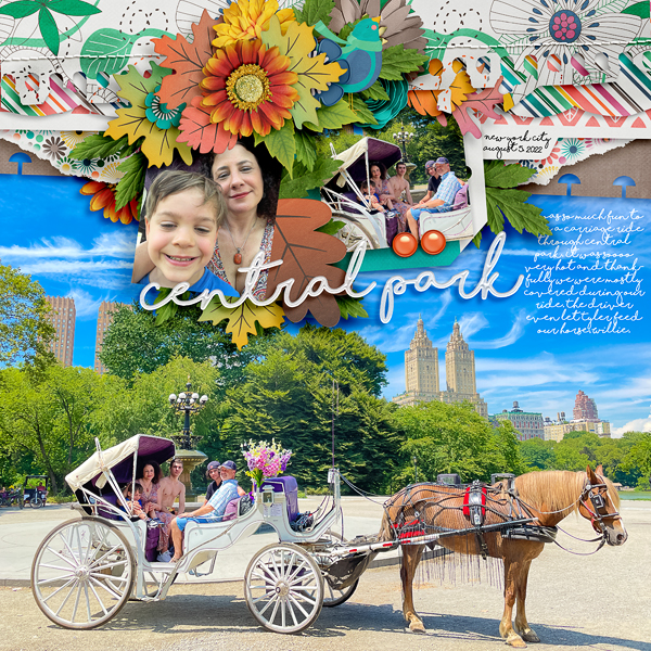 Central Park Carriage Ride
