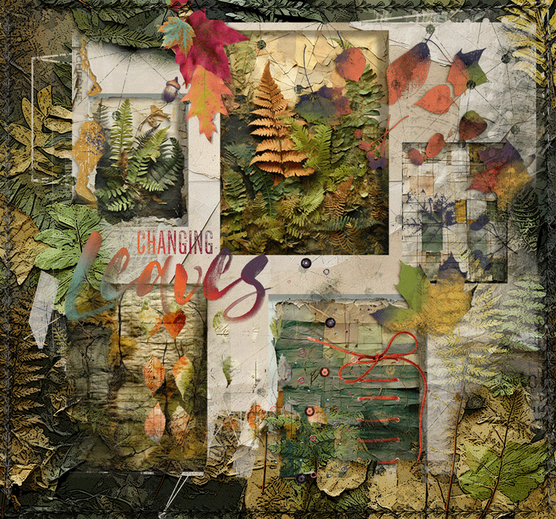 Changing Leaves