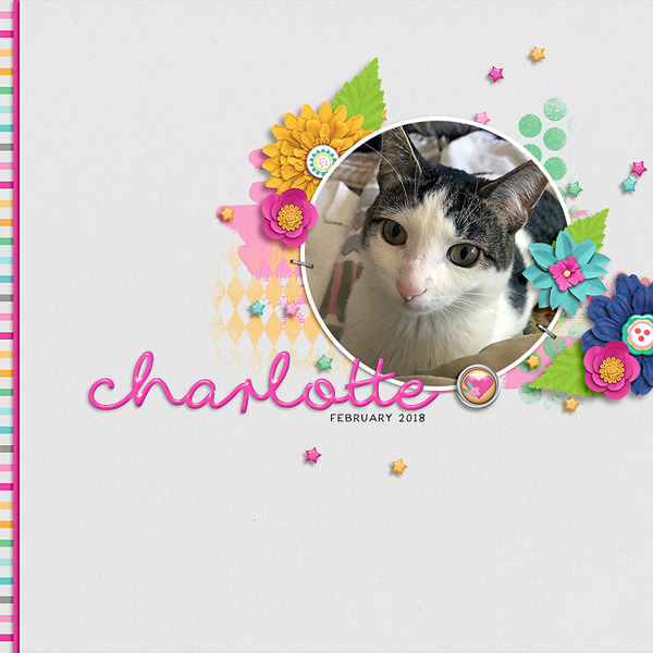 charlotte