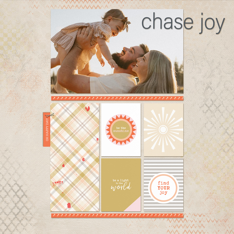 Chase-joy