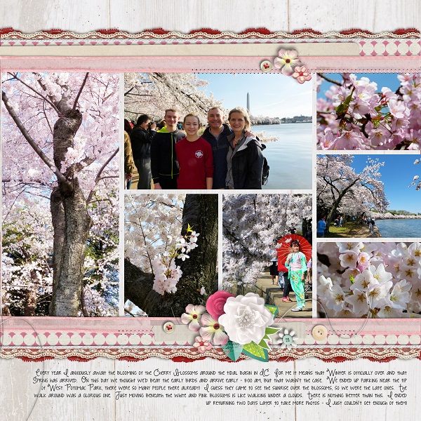 Cherry Blossoms - Right