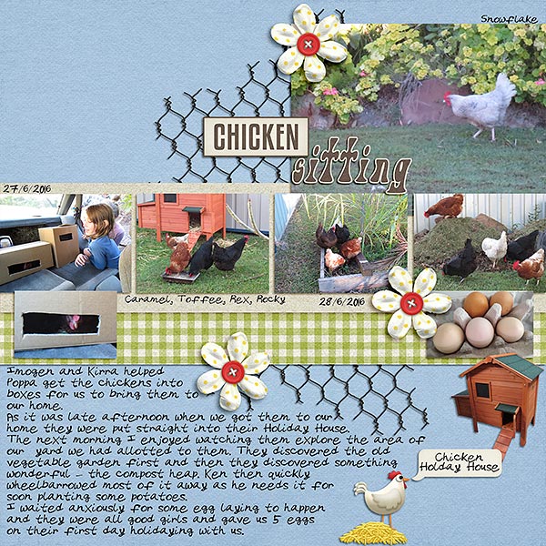 Chicken Sitting - Photography Challenge