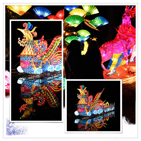 Chinese Lantern Festival 3
