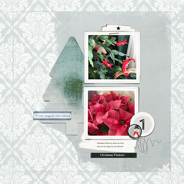 Christmas Flowers