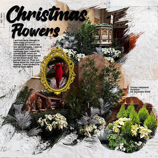 Christmas Flowers