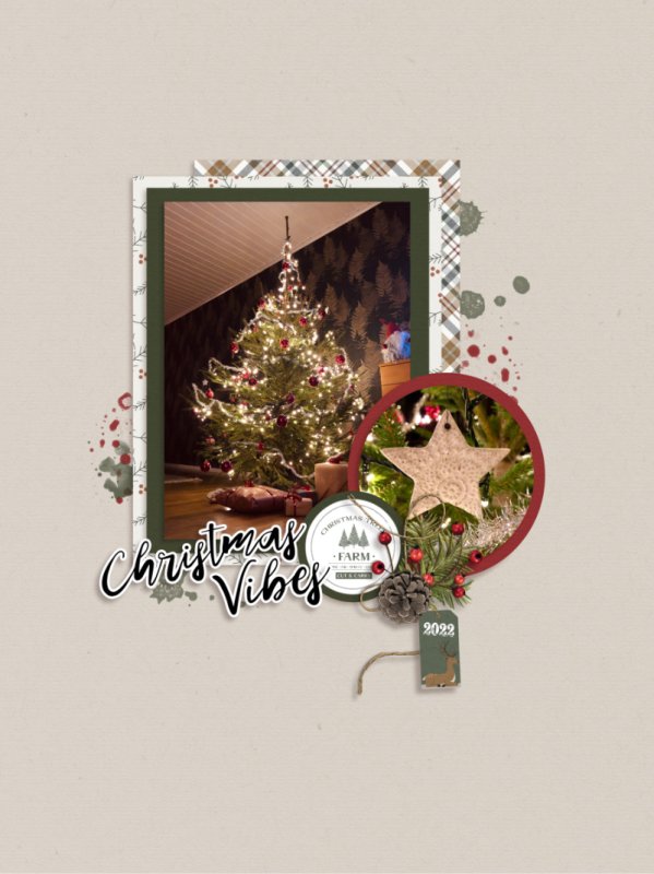 Christmas Vibes