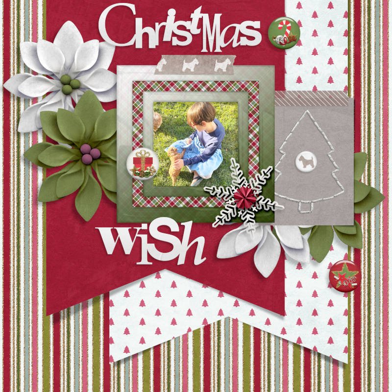 Christmas Wish