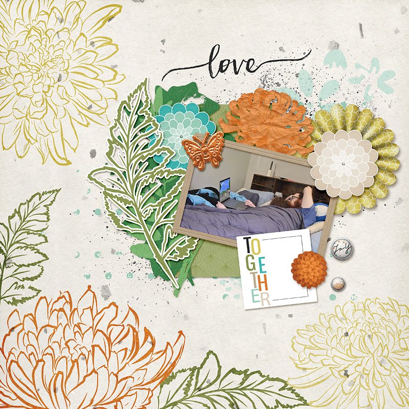 chrysanthemum love