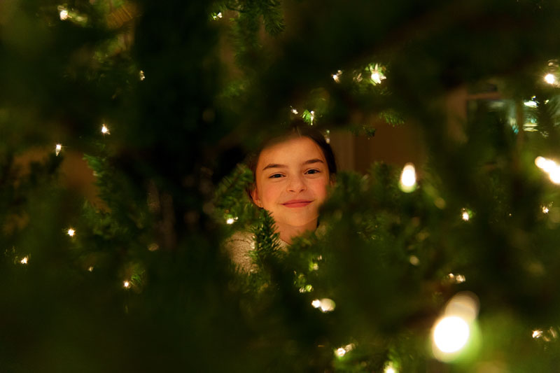 Claire-tree