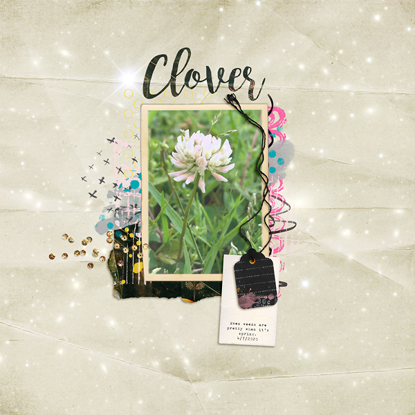 Clover