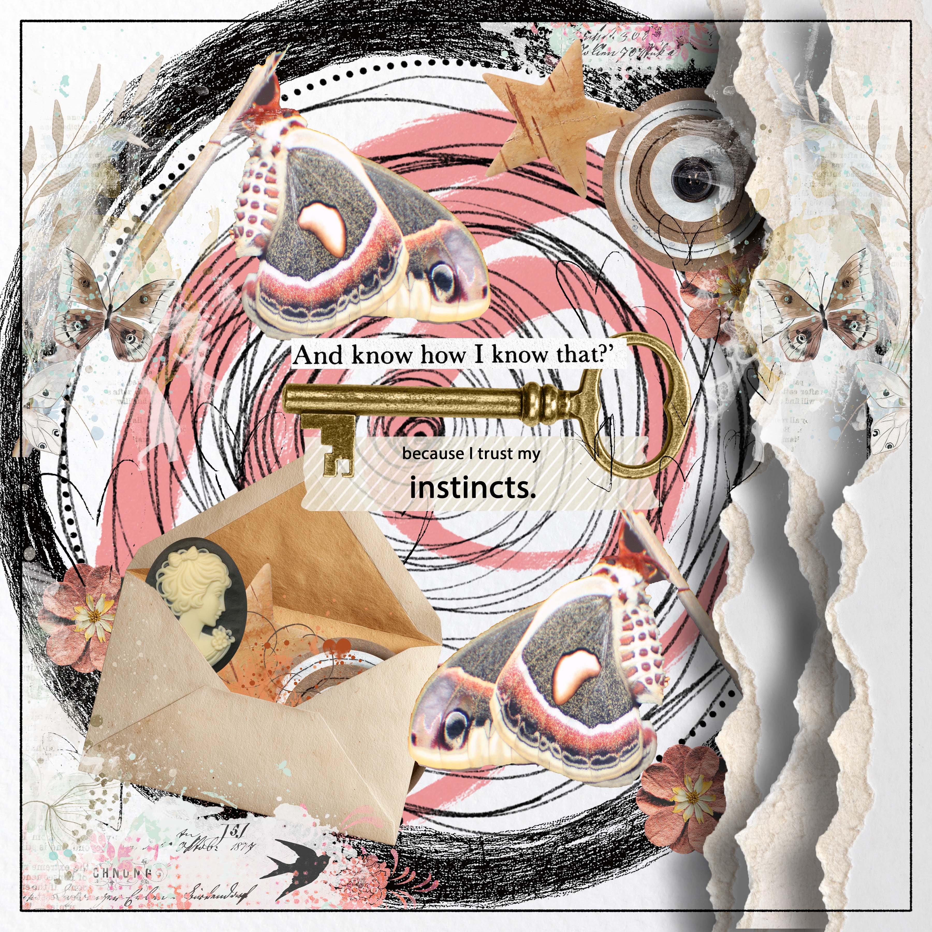 Collage of Confusion and Butterflies.jpg