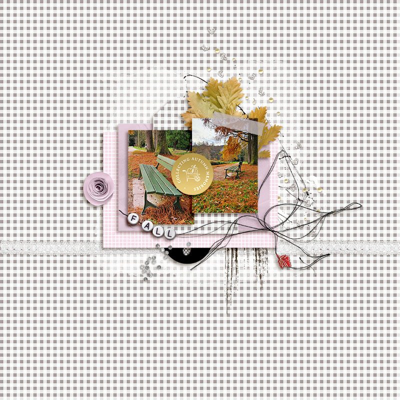 collecting autumn memories