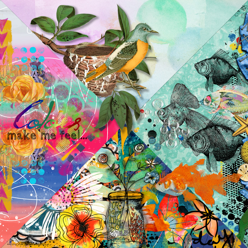 COLORS  AJ MUSE May 2017