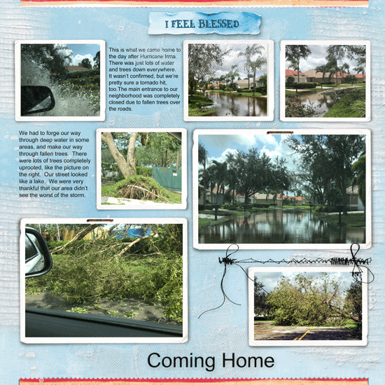 Coming Home (After Hurricane Irma)