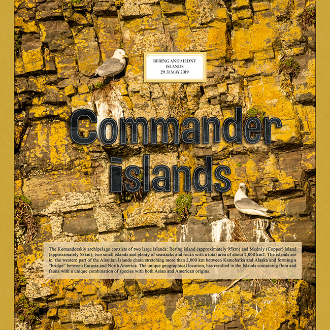 Commander Islands