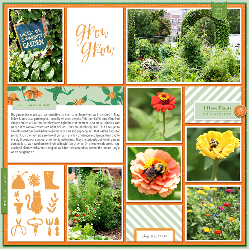 Community Garden 2007