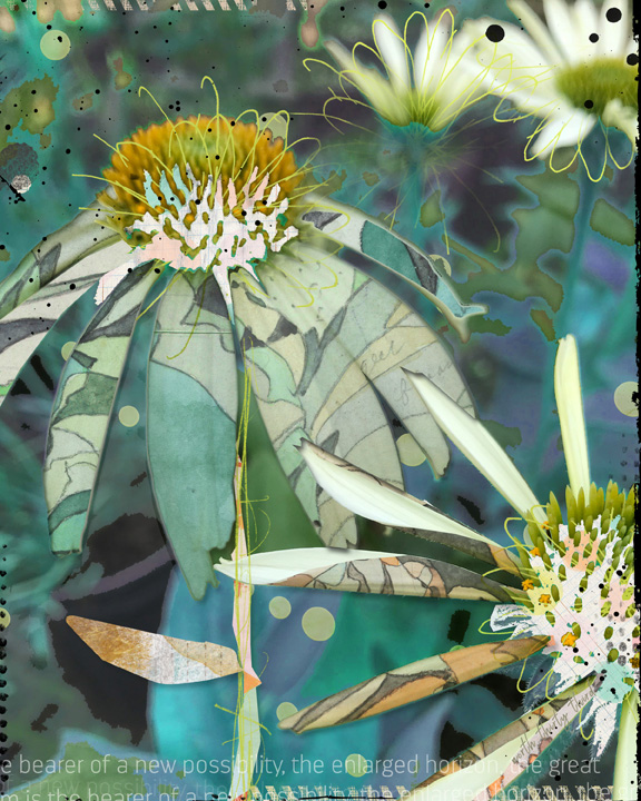 coneflowers - MOC 02