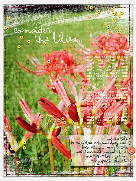 CONSIDER THE LILIES / ahg_10515