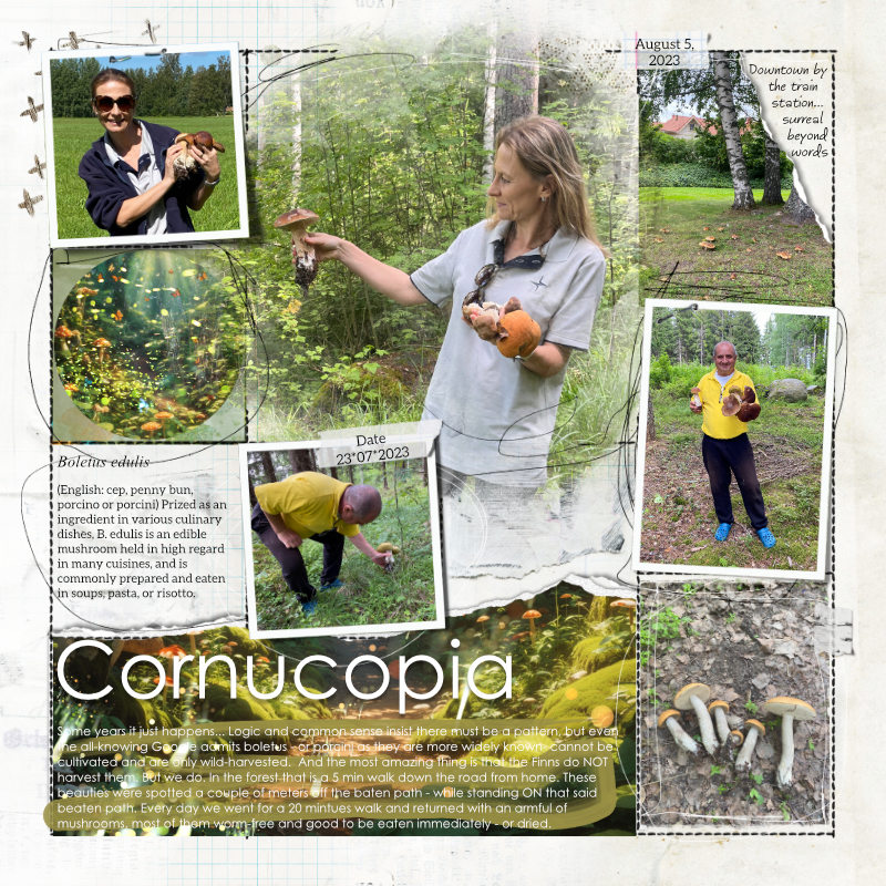 Cornucopia