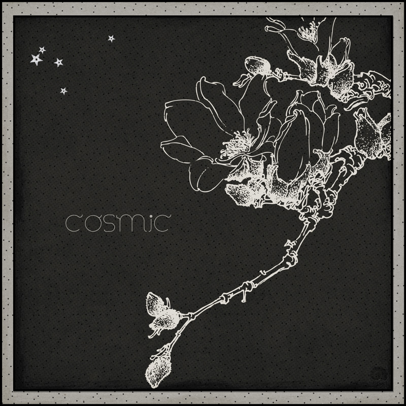 COSMIC