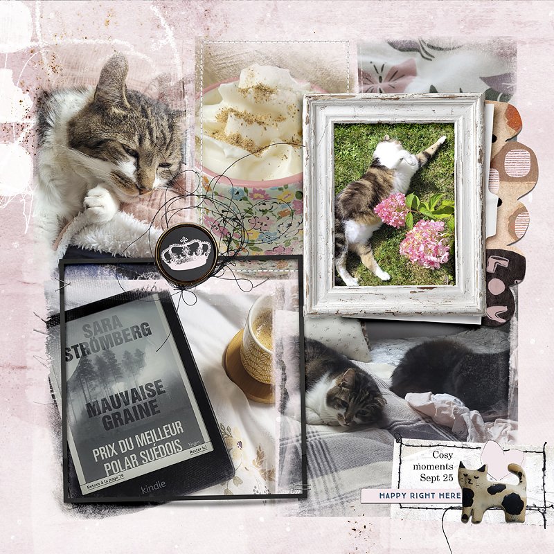 Cosy moments Sept 25