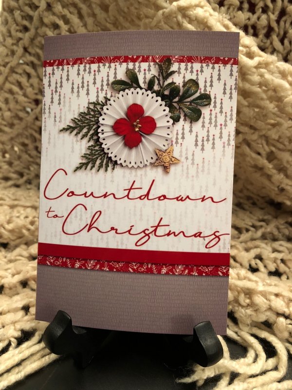Countdown to Christmas Cover
