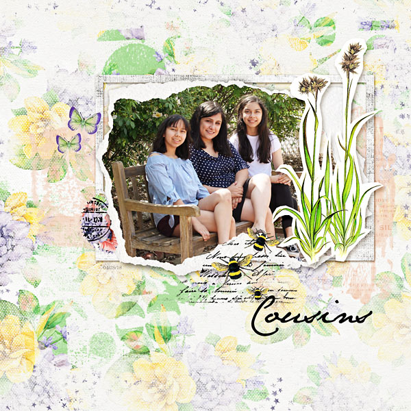 Cousins