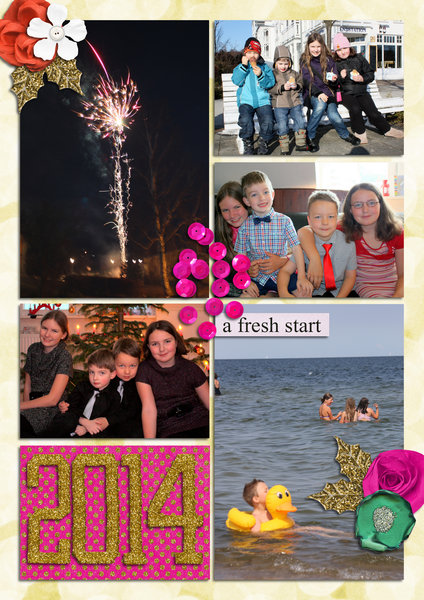 Cover Project Life 2014