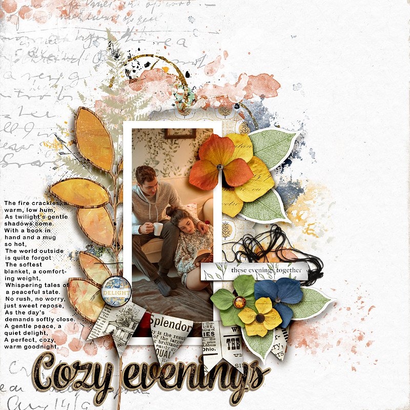 Cozy Evenings