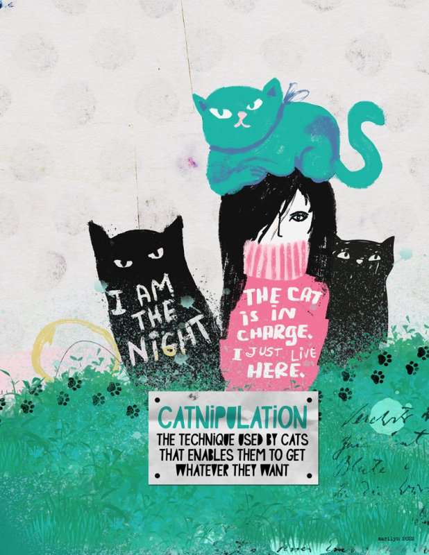 Crazy-Cat-Lady