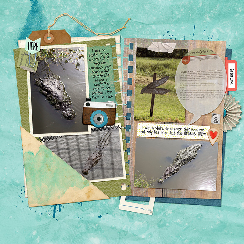 Croc Pond