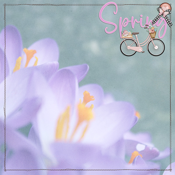 Crocus
