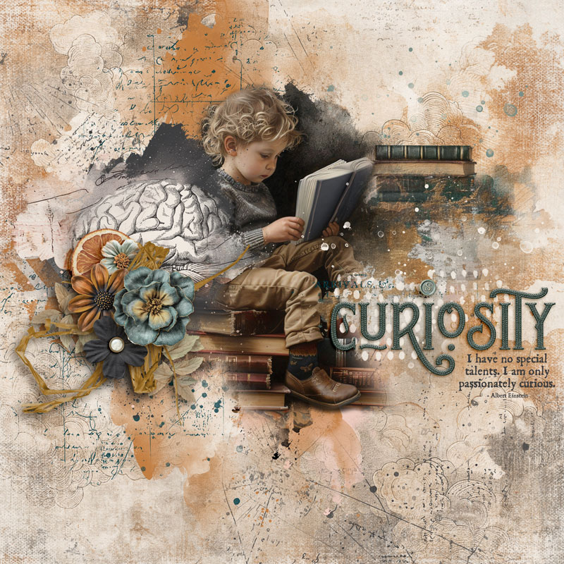 Curiosity