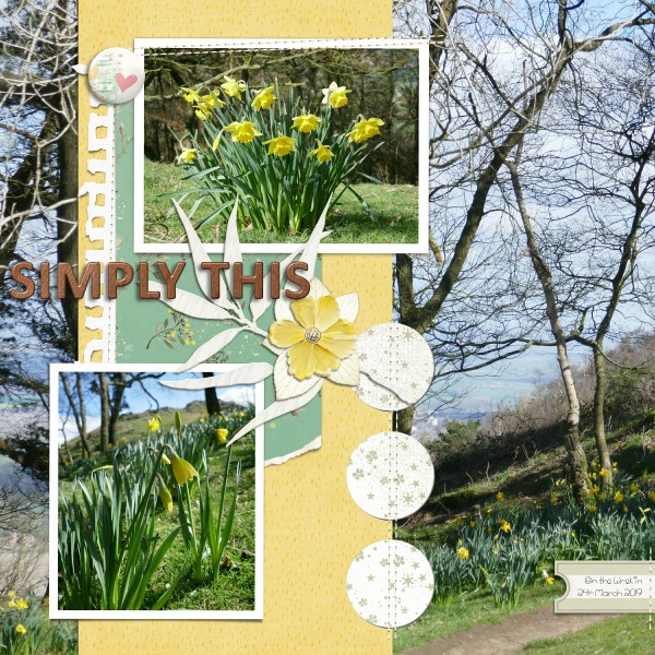 Daffodills