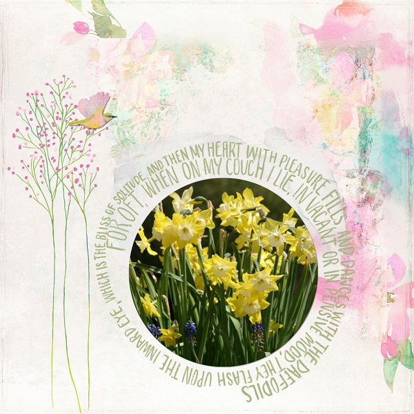 Daffodils