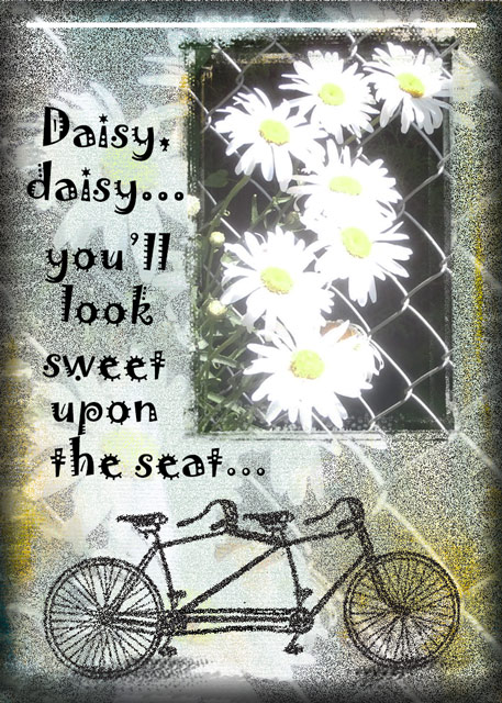 Daisy, daisy (Summer School Challenge Week 1)