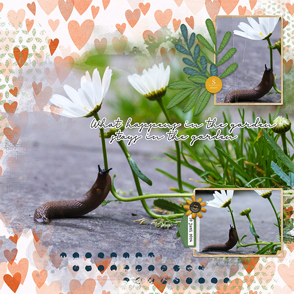 Dances With Flowers