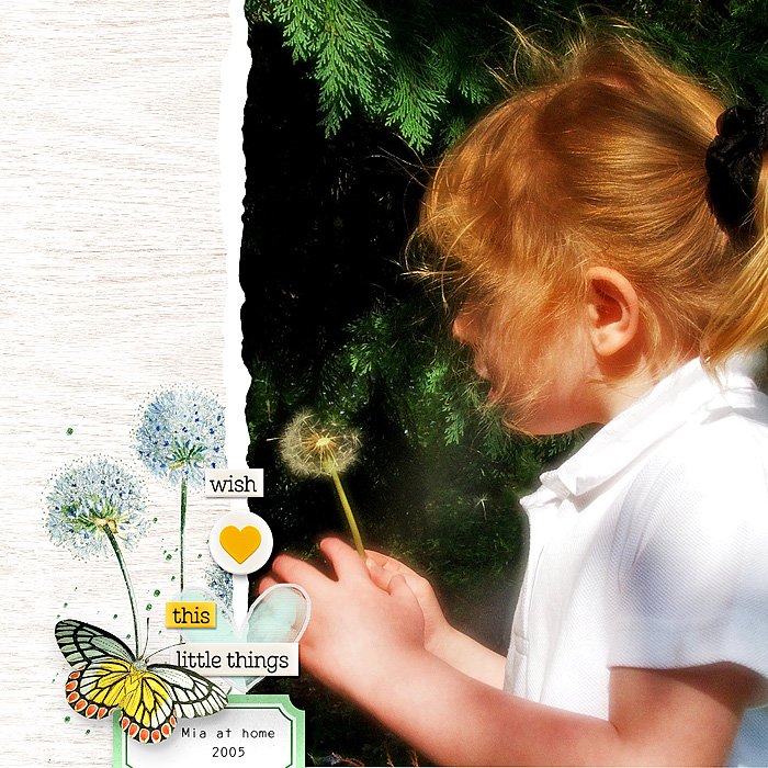 Dandelion Days