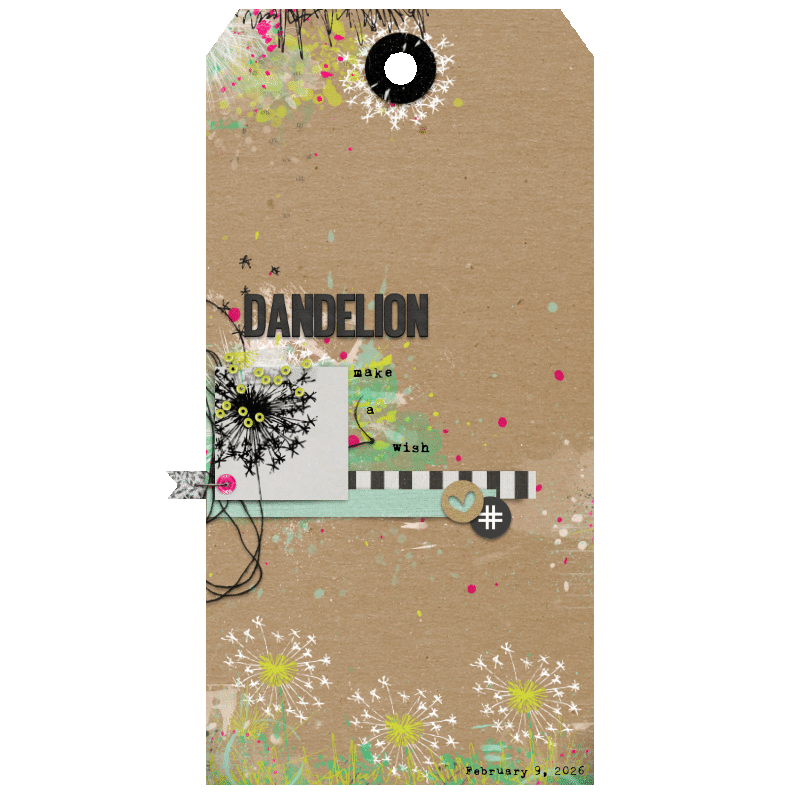 Dandelion, make a wish