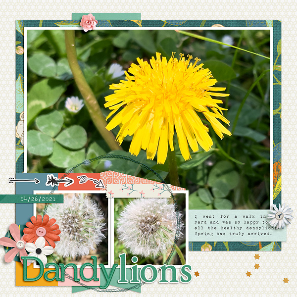 Dandylions