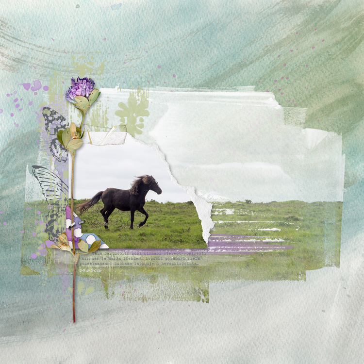Dartmoor Pony