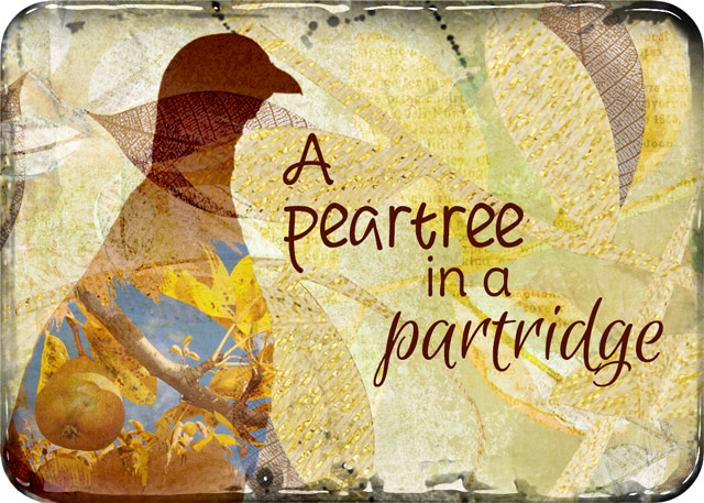 DAY 1:  ATC-2016-90-Pear-Tree