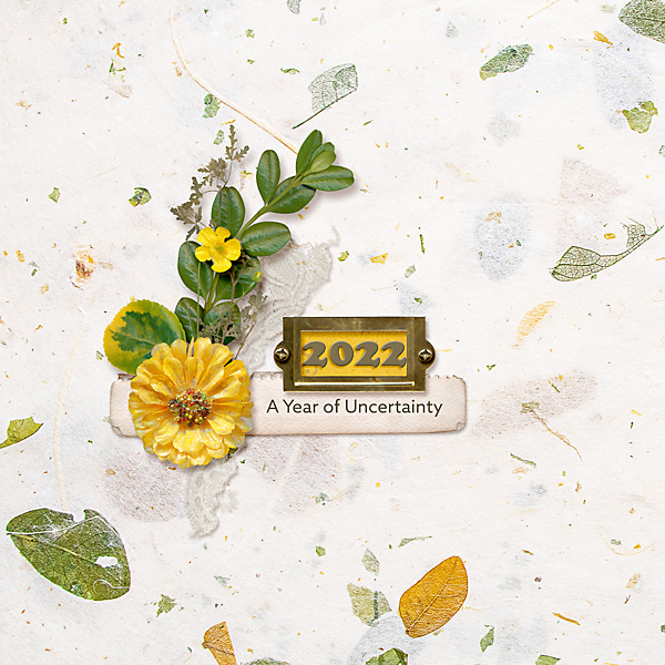 Day 11 - Cover - 2022