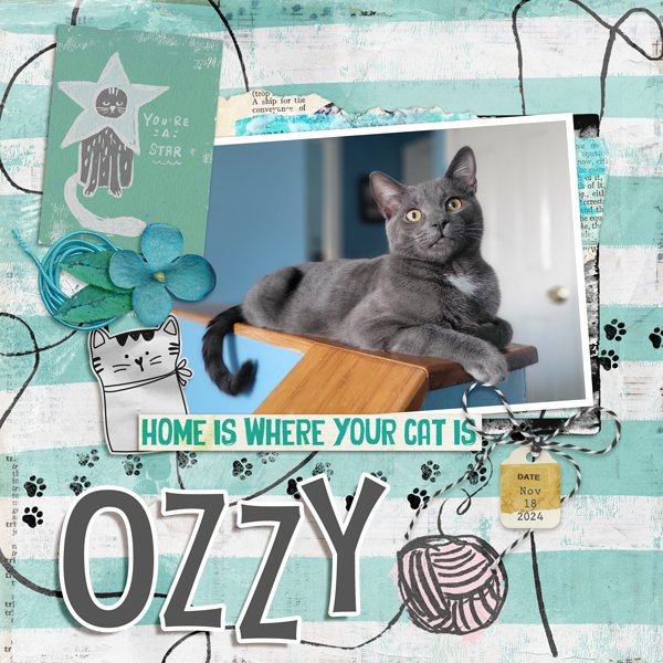 Day 13 - Ozzy.jpg